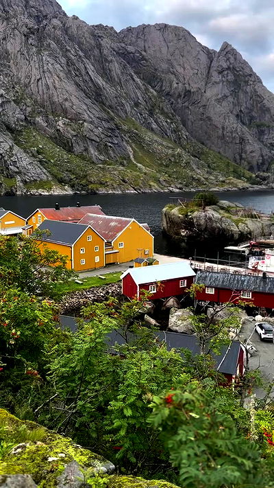 taylor.creeden taylor.creeden archive video