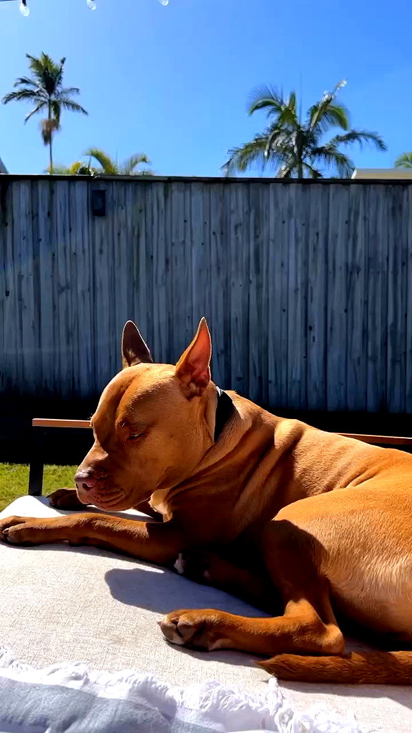 olivia.mathers archive video preview