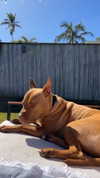 olivia.mathers Altpins Profile Picture