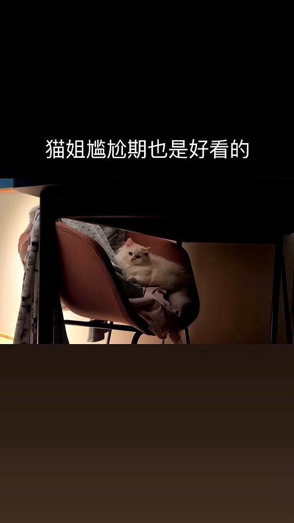 xiaoxinbue archive video preview