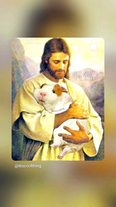 ida.trbl ida.trbl archive video