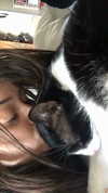maori_cohen Altpins Profile Picture