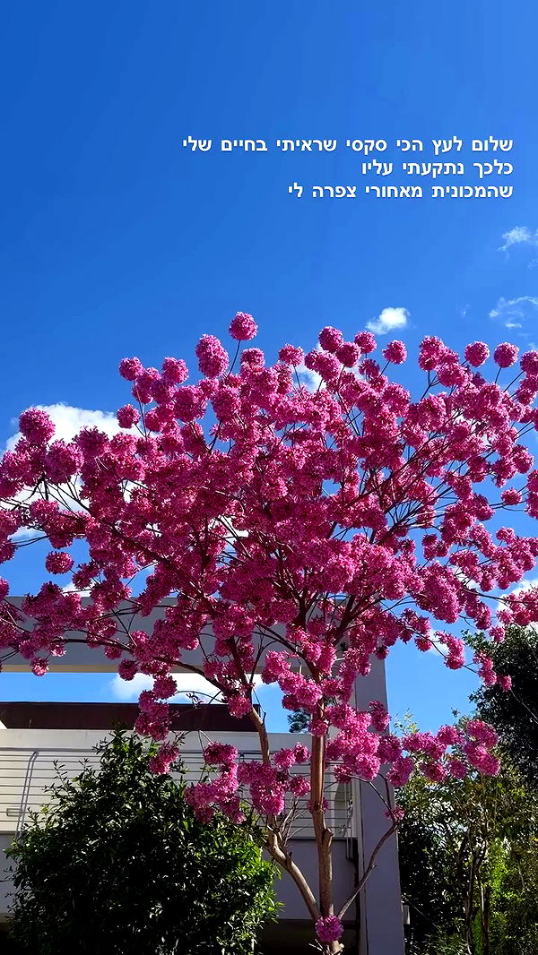 strawberryshanz archive video preview