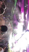 _lironatias Altpins Profile Picture