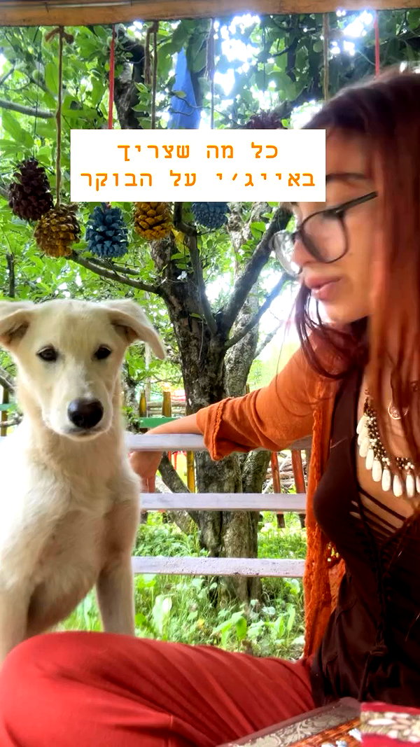talya.fridland archive video preview