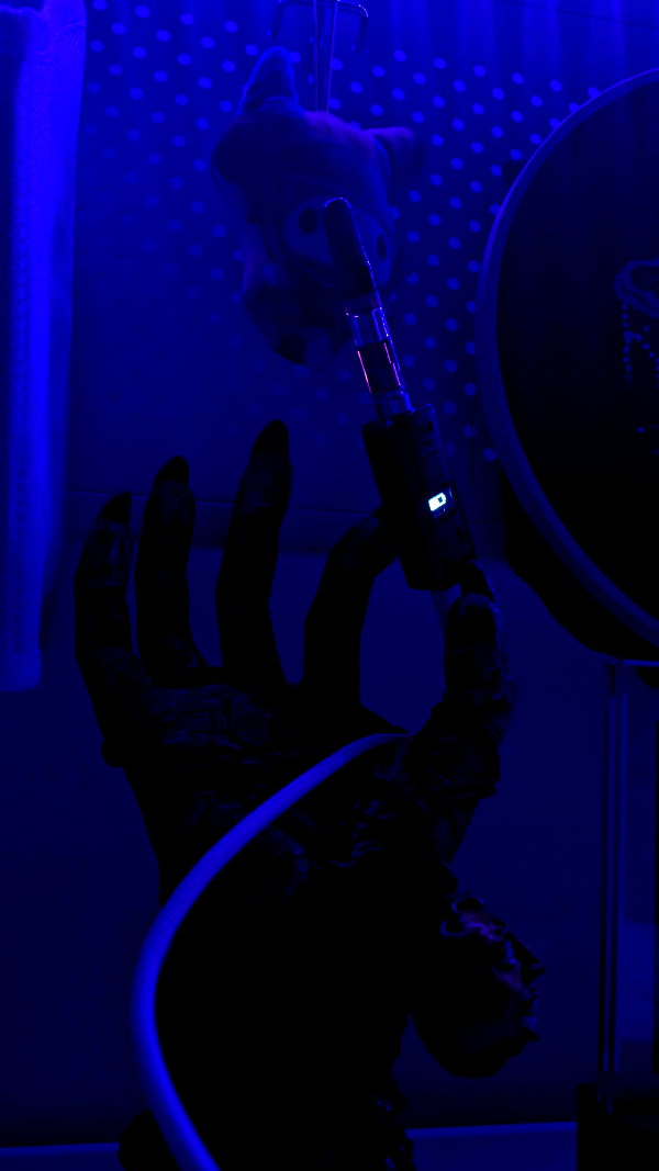 _littlerobin_ archive video preview