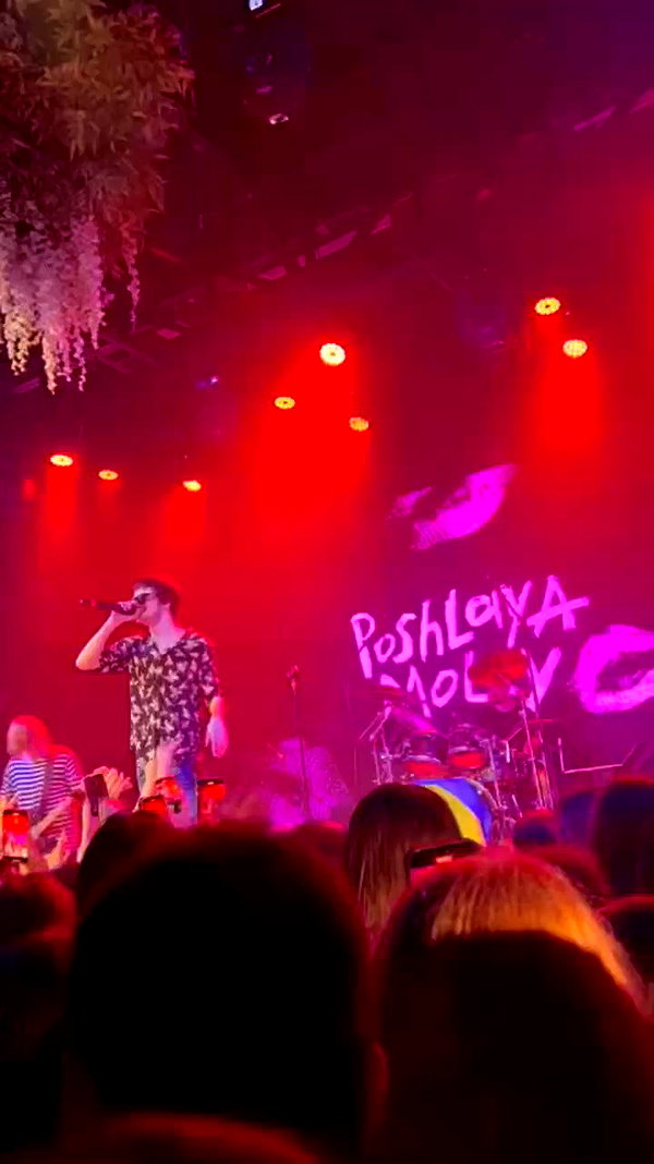 _allvi.pansk archive video preview