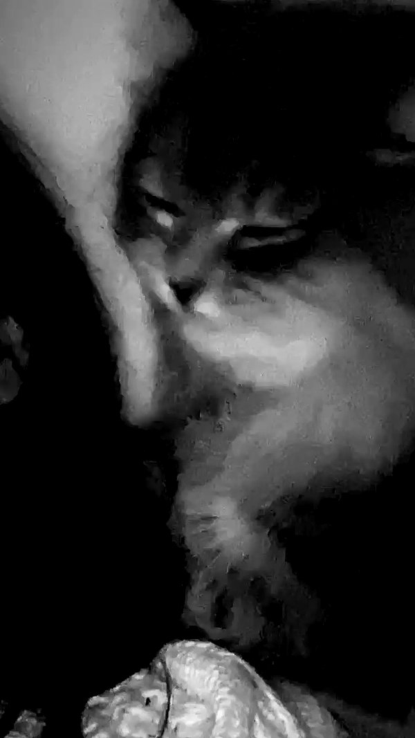 _mashachka_ archive video preview