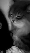 _mashachka_ Altpins Profile Picture