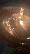 nyyxxii_ Altpins Profile Picture