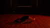 suspiria.em Altpins Profile Picture