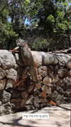 itsilanosh Altpins Profile Picture