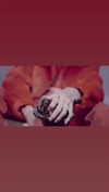 apathy.impress Altpins Profile Picture