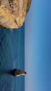 ellamwatts_ Altpins Profile Picture