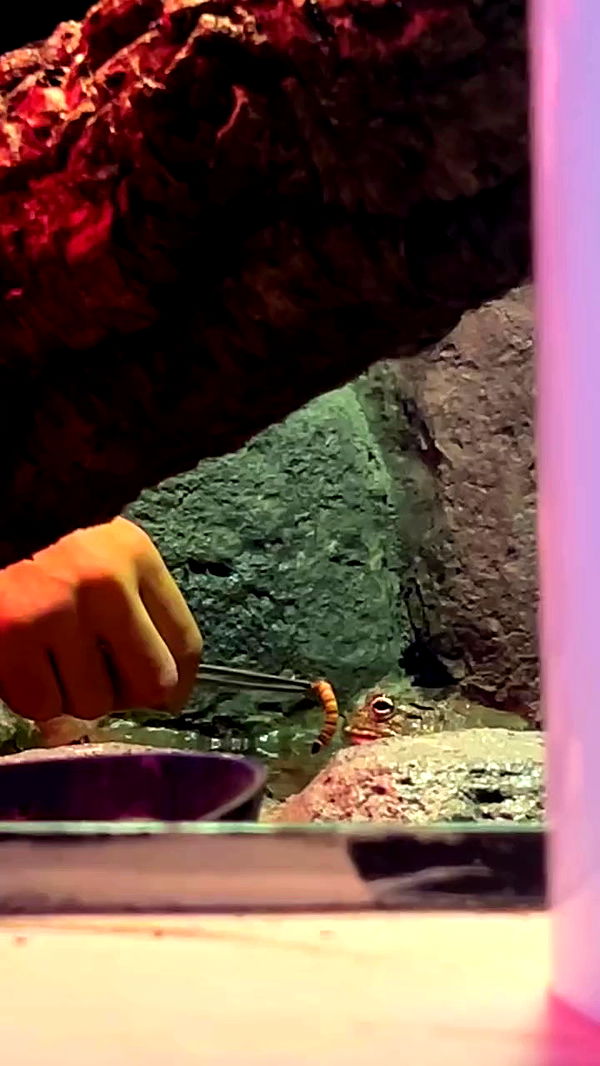 feelbetterinmysweater archive video preview