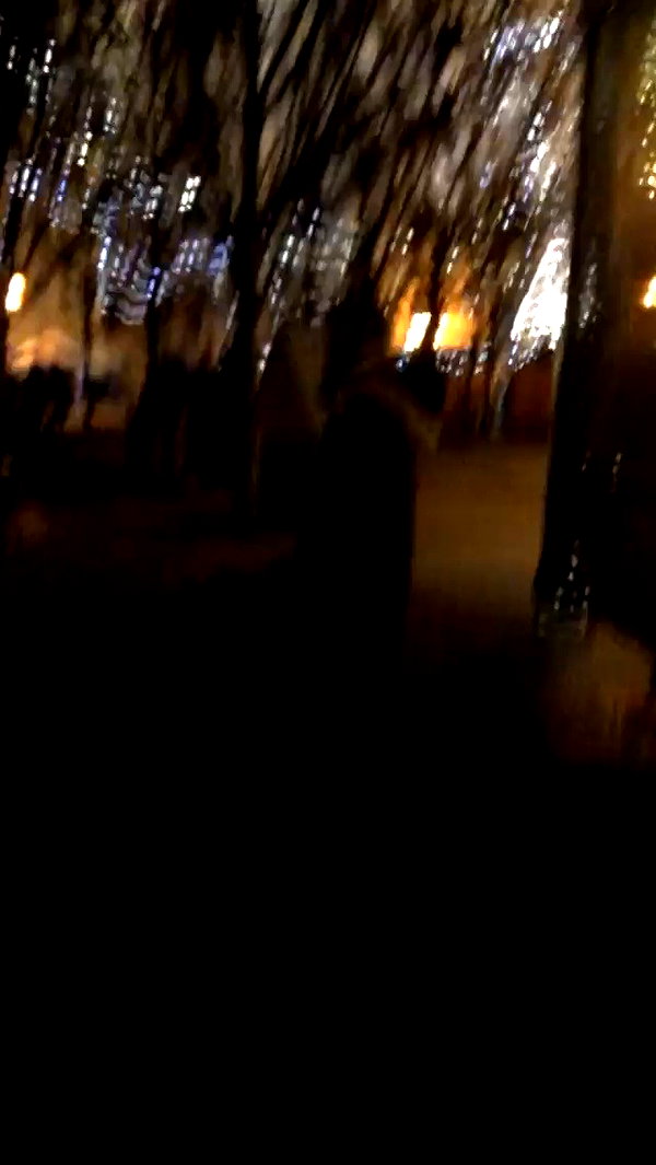 eva_romanovski archive video preview