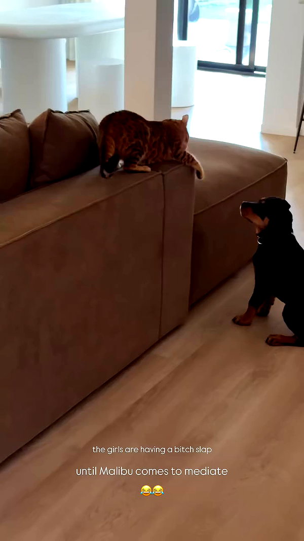 olivia.mathers archive video preview
