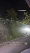 orman.mariee Altpins Profile Picture