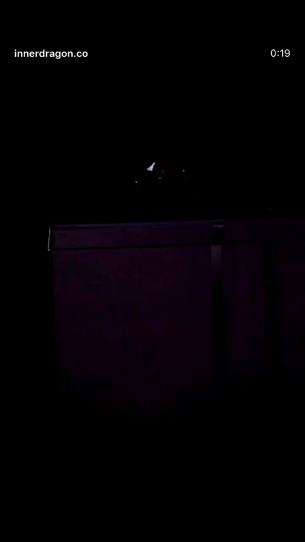 ilanosh archive video preview