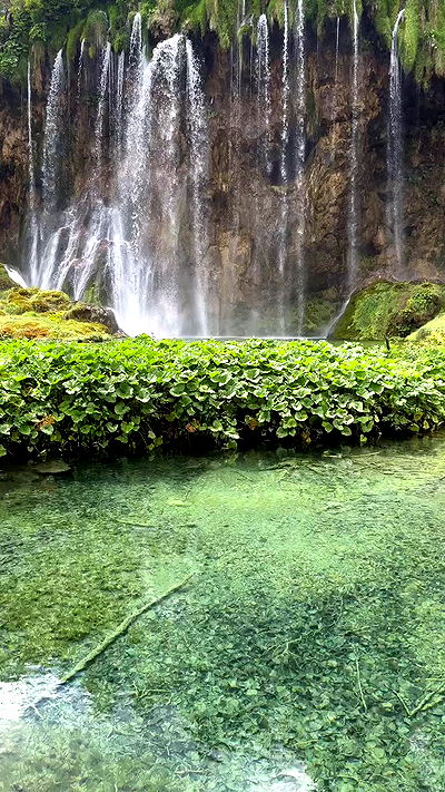 taylor.creeden taylor.creeden archive video