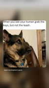 emily_new2 Altpins Profile Picture