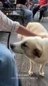 evasela__ Altpins Profile Picture