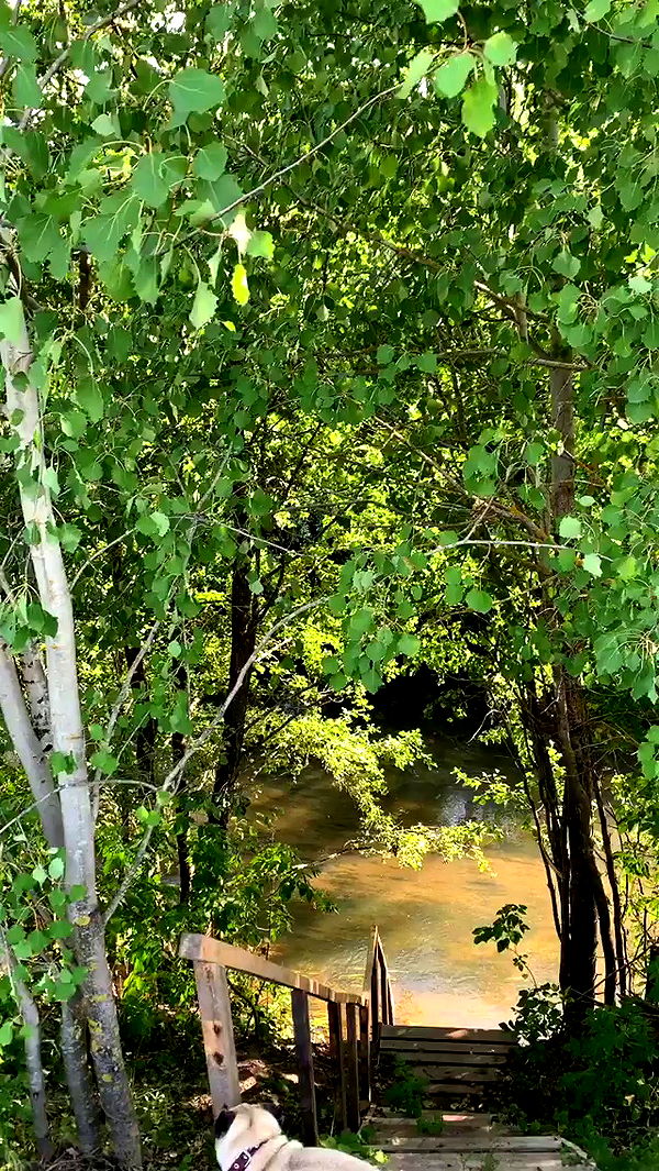 nyityam archive video preview