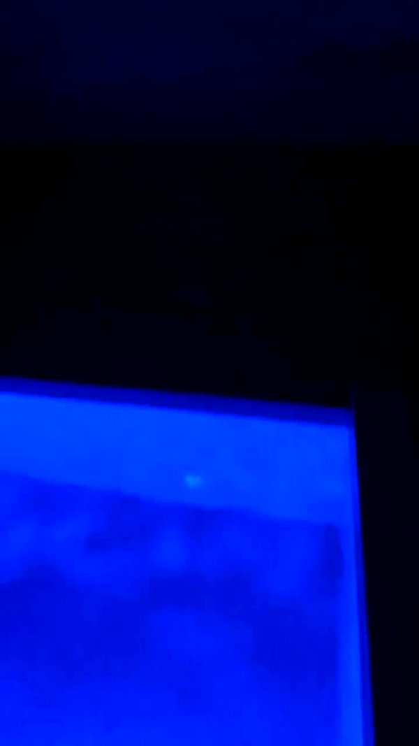 barzomer archive video preview