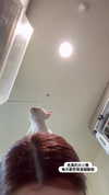 jiw_____n Altpins Profile Picture