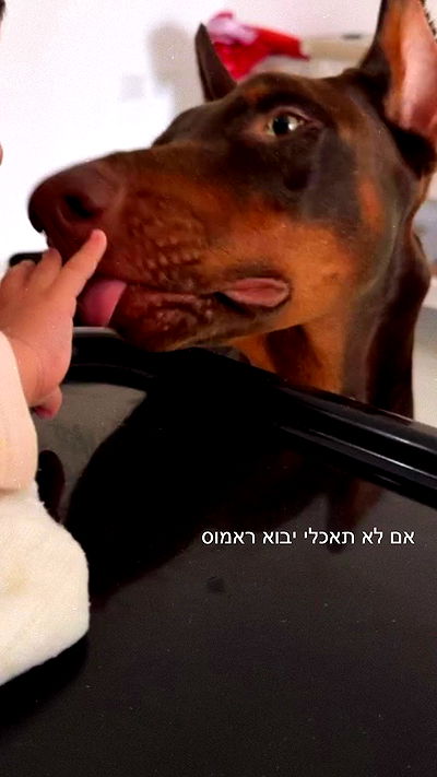 shir.davida6 shir.davida6 archive video