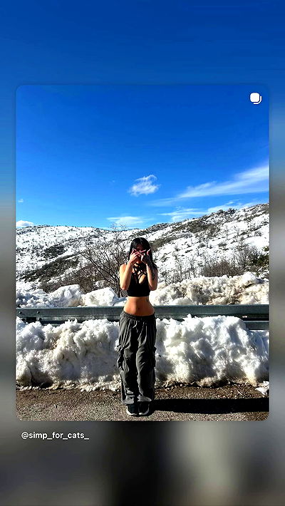 simp_for_cats_ simp_for_cats_ archive video