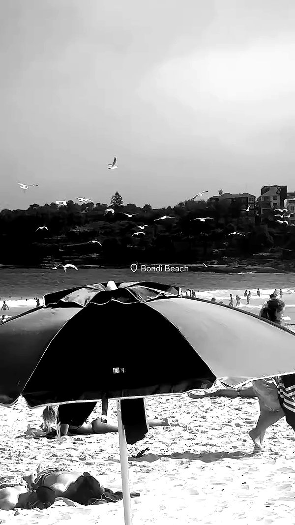 taylor.creeden archive video preview