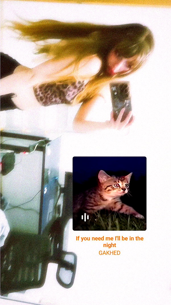 nicakitty archive video preview