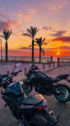 shanidahan7 Altpins Profile Picture