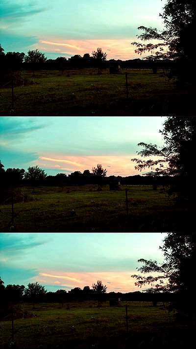 thelizzyporter thelizzyporter archive video