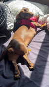 maya.keyy Altpins Profile Picture