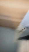 ptpchik Altpins Profile Picture