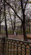 veroni22ka Altpins Profile Picture