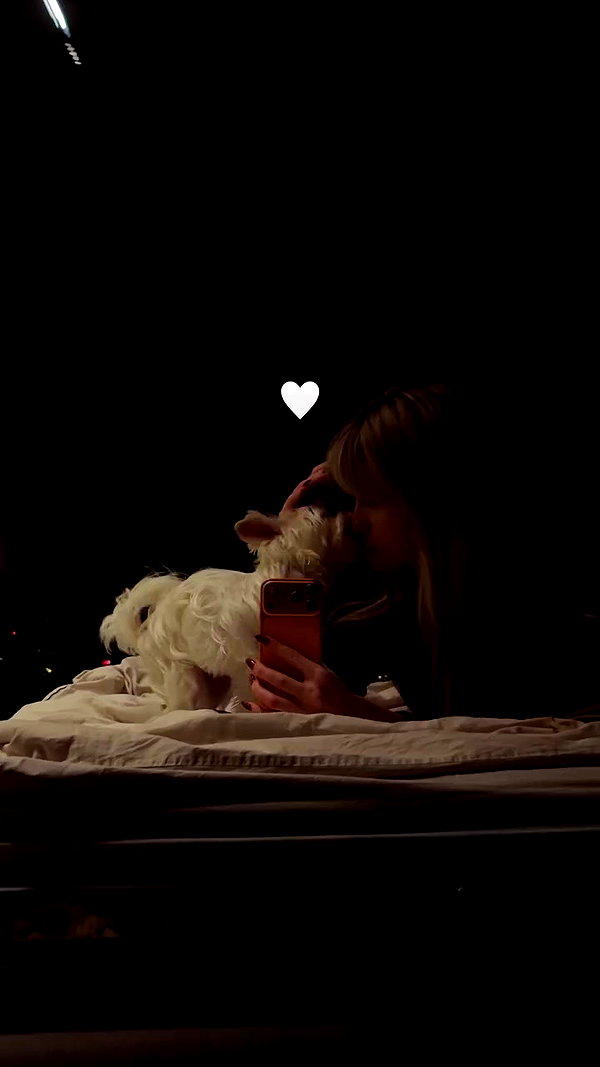 kkwwwv archive video preview