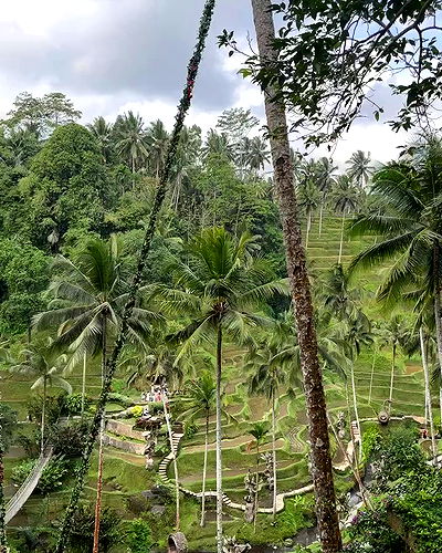 taylor.creeden taylor.creeden archive video