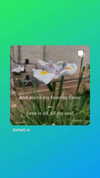 shayli_or Altpins Profile Picture