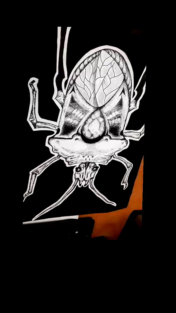 lior_levrun archive video preview
