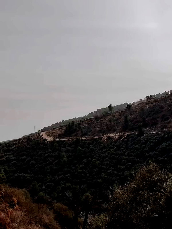 shaharo__._ archive video preview