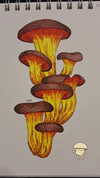 _ann.kim_ Altpins Profile Picture