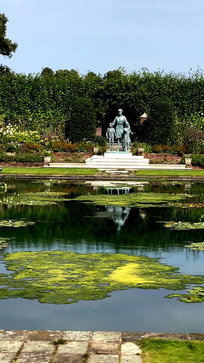 taylor.creeden taylor.creeden archive video