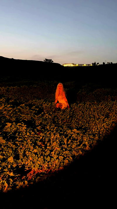 strawberryshanz strawberryshanz archive video