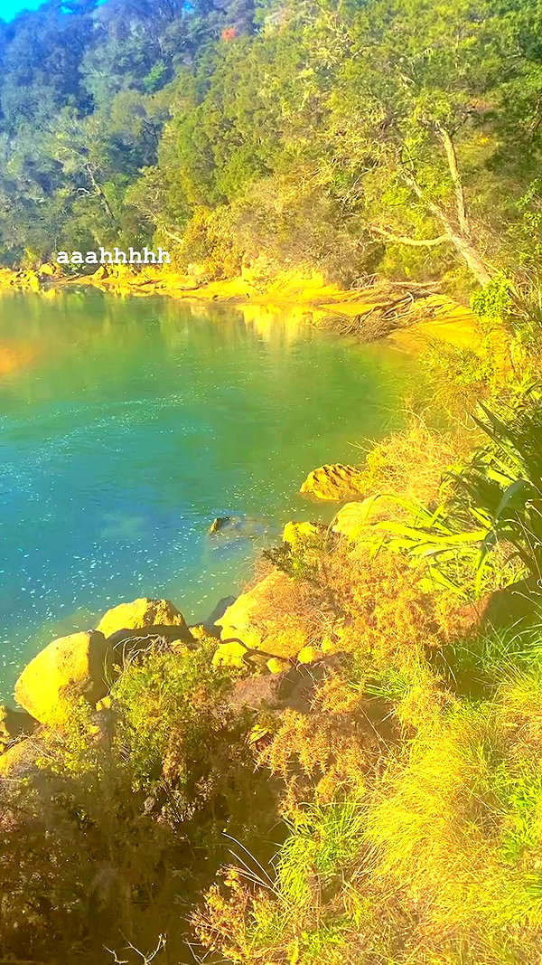 aleiisha.piixiie archive video preview