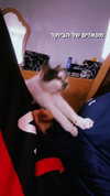 lera.genadenik Altpins Profile Picture