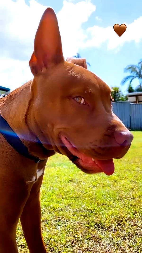 olivia.mathers archive video preview