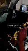 tinapavlov.sky Altpins Profile Picture